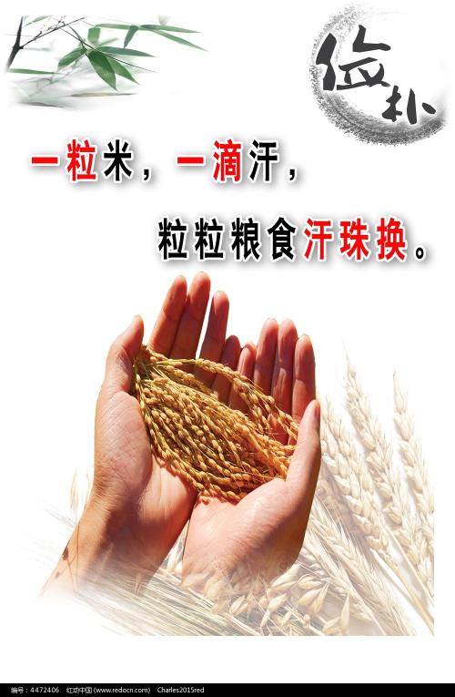 月信大学Diploma in Finance